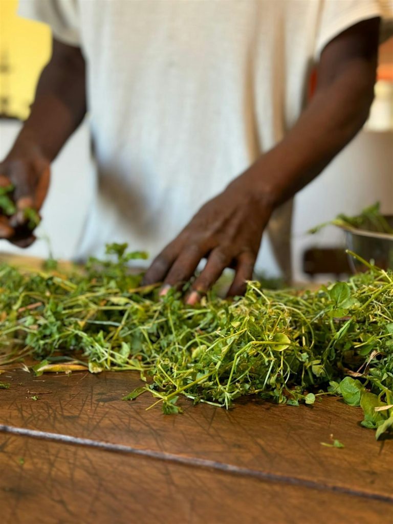 Introduction Botanical Cooking Class
