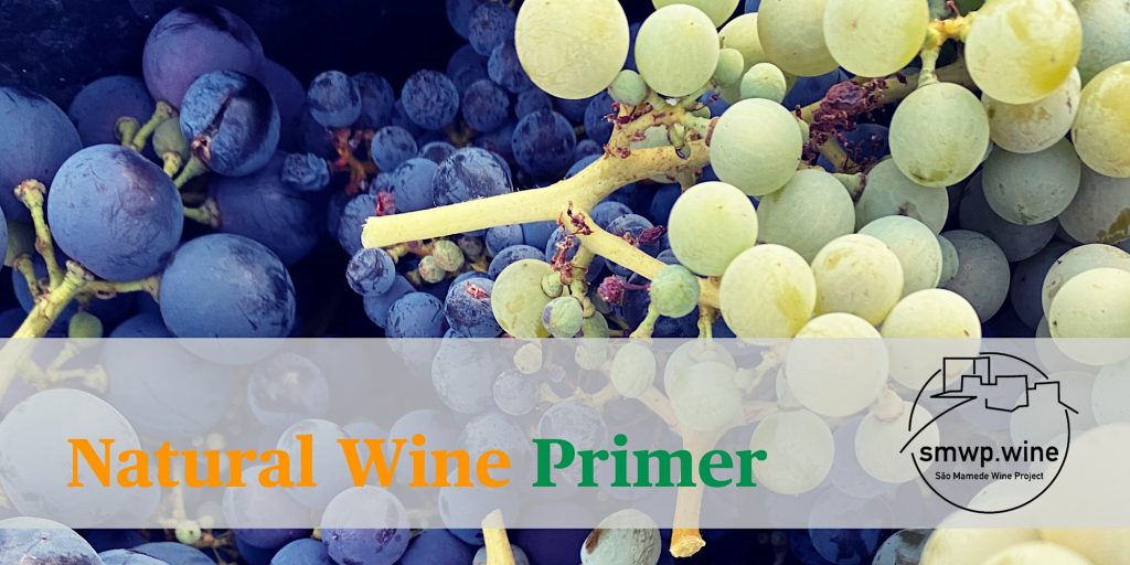 Natural Wine Primer